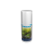 Herbal Fern